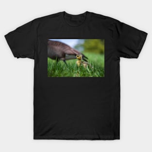 Room to Grow T-Shirt